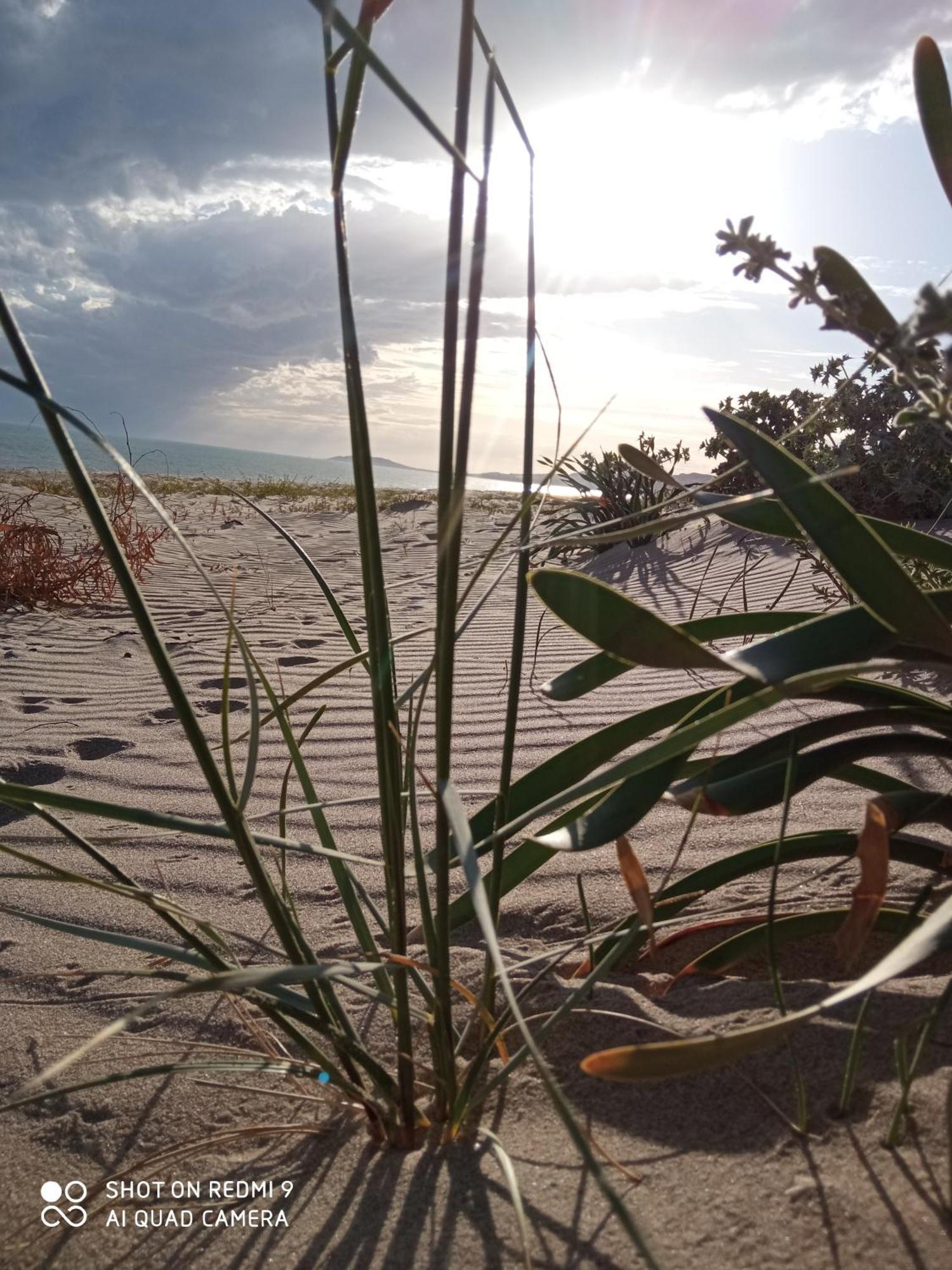 Natura E Relax Sul Mare Джела Екстер'єр фото